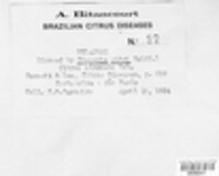 Diaporthe citri image